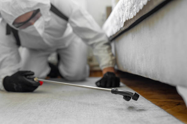 Professional Bed Bug Control technician working in Brownsville, KY