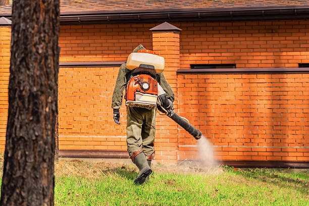 Trusted Termite Control service in Brownsville, KY - Nex Pest Control